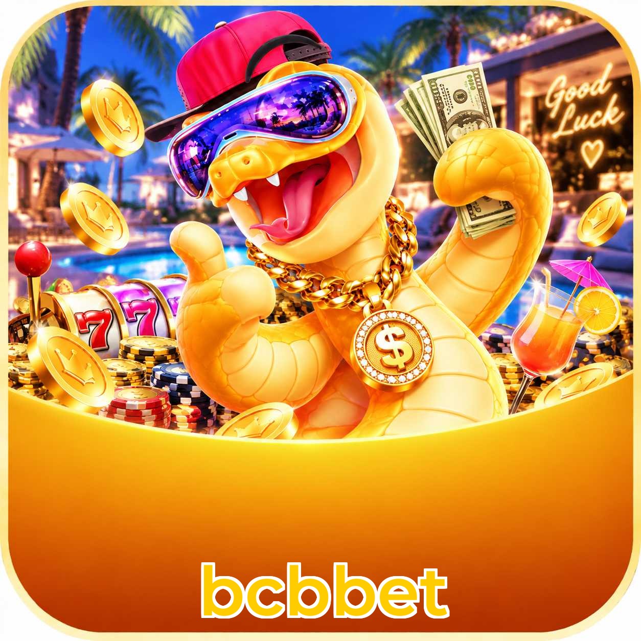bcbbet App Features